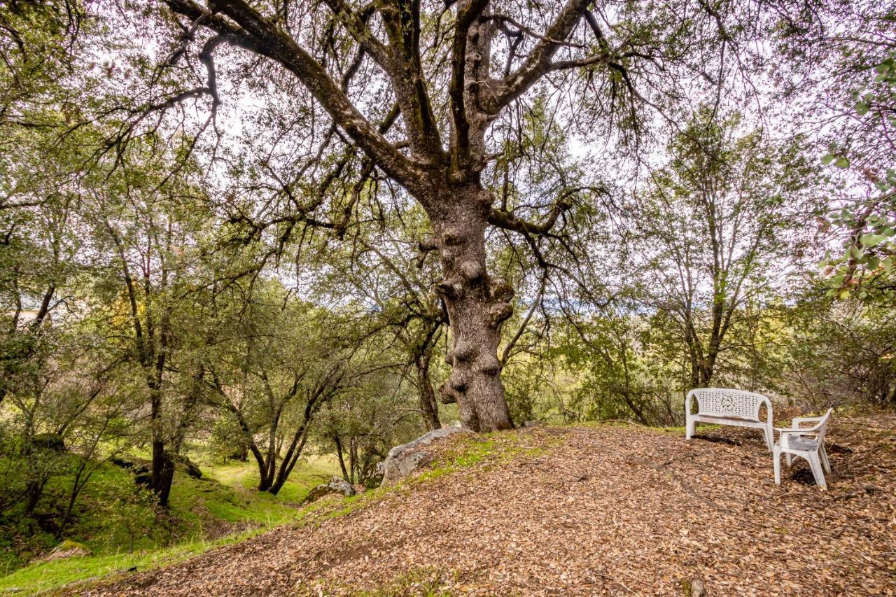 Spectacular Views W/ Hot Tub/bbq -yosemite & Bass * Oakhurst